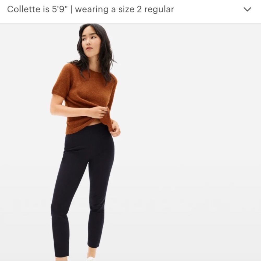 Everlane Side Zip Work Pants Black New NWT Size 10